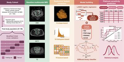 Combined radiomics-clinical model to predict platinum-sensitivity in advanced high-grade serous ovarian carcinoma using multimodal MRI